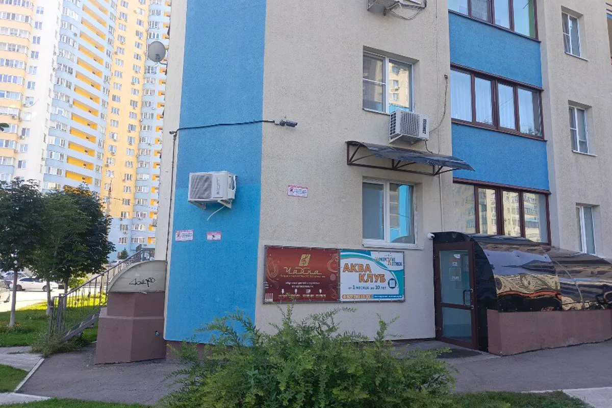 Заморские котики — 5-я просека — фотография центра или занятия